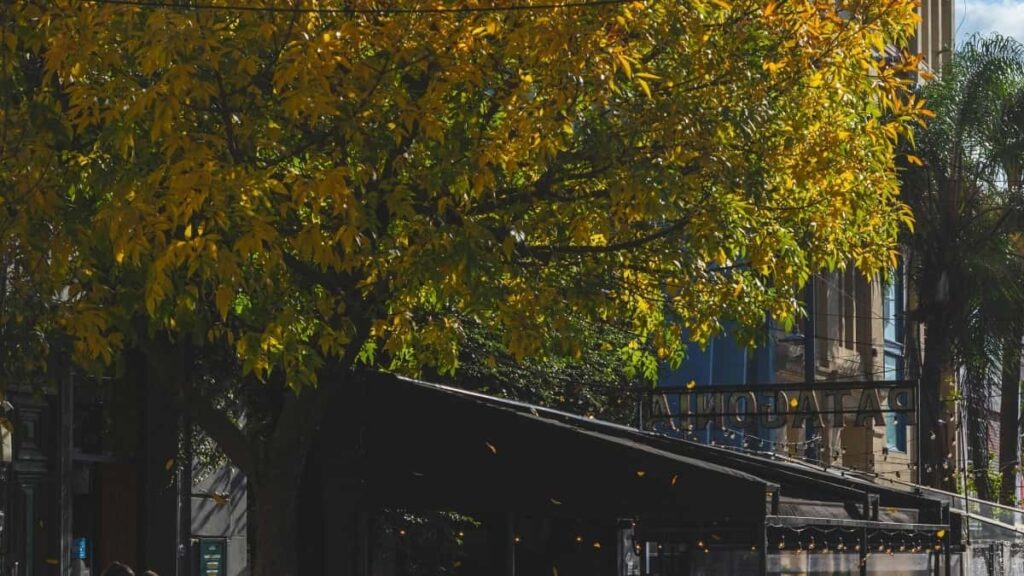2025 Canada LinkedIn Advertising Rate Card Malawi Market Guide
