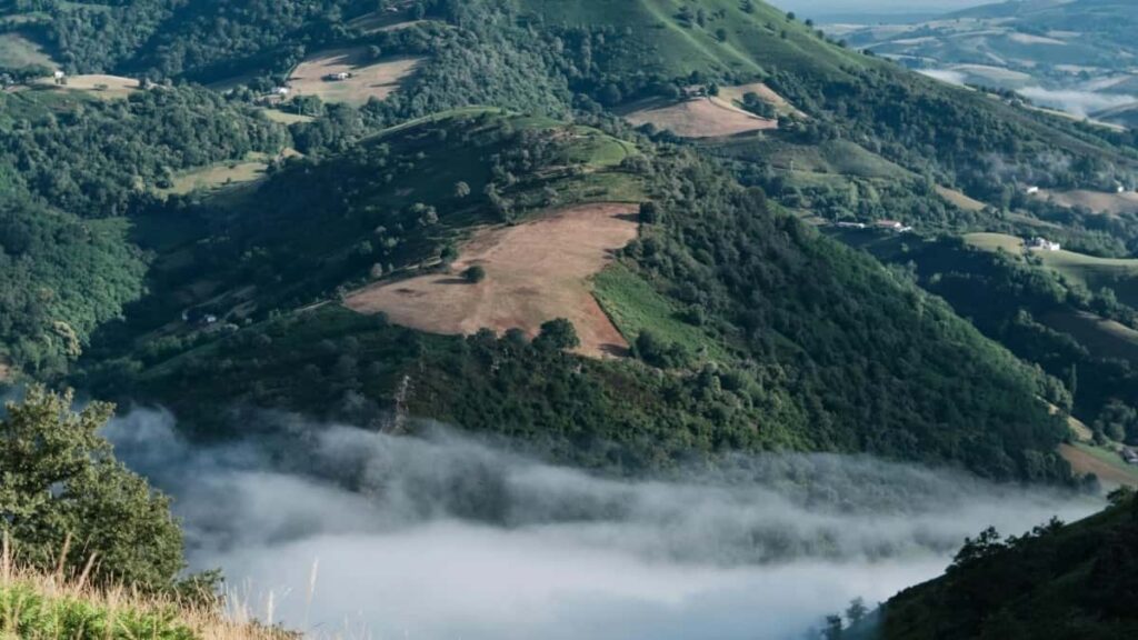 2025 Tanzania WhatsApp Yotsatsa Mtengo pa Magulu Onse Malawi