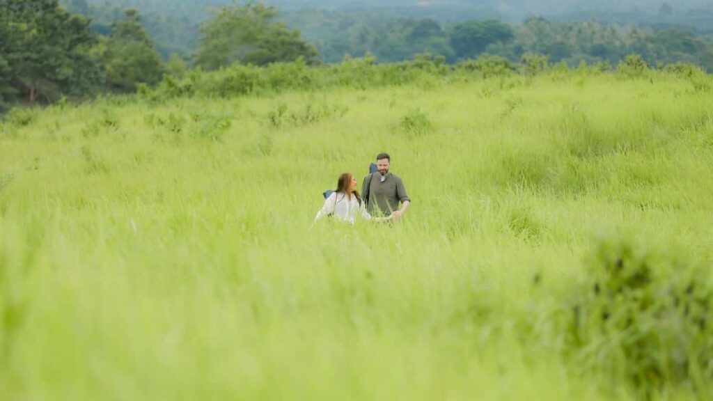 2025 Netherlands Instagram Malonda Yotsatsa Mtengo Kwa Malawi