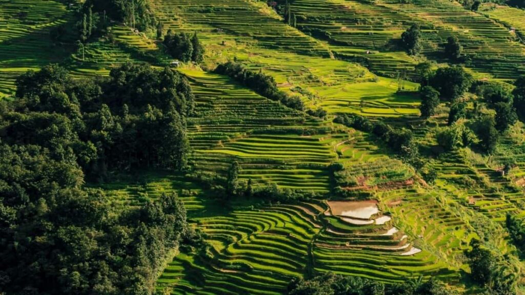 2025 Switzerland Twitter Ad Rates ndi Malawi Digital Marketing
