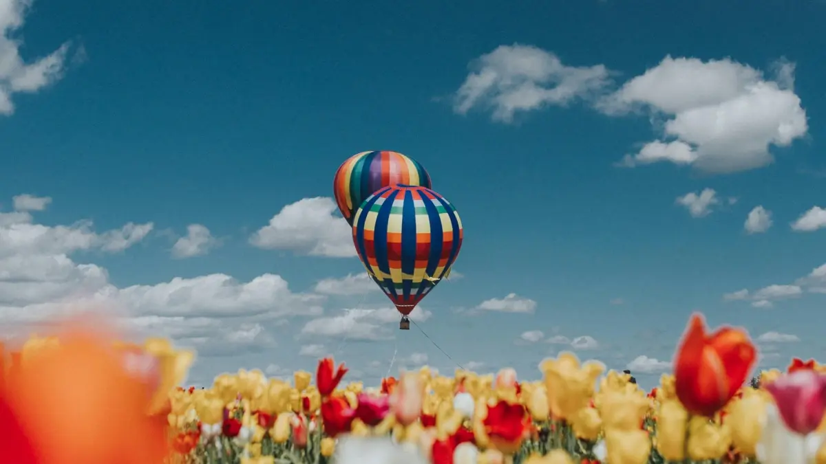 Malawi Advertisers: TikTok Netherlands Launch Paid Collabs, What’s The Real Deal?