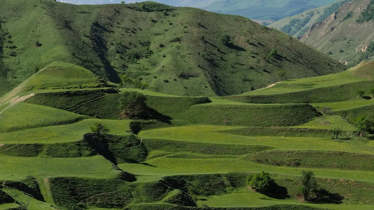 Ogulitsa Style ku Malawi: Kupeza Snapchat creators ku New Zealand