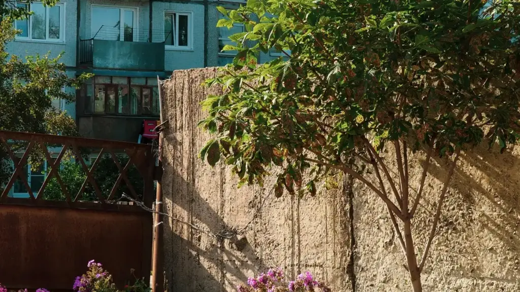 Njira zenizeni za kufikira ma brand a Nigeria pa Lazada, momwe mungamangitsire mbiri ndi kugwira ntchito ndi top brands—mwa malangizo a m'njira za msika ndi ma case study.