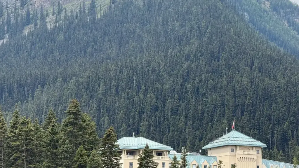 Njira zenizeni za kupeza ndi kugwira ntchito ndi Finland Roposo creators kuti ma brand a Malawi azikhalabe okondedwa — njira, ma tools, ndi maupangiri ochita bwino.