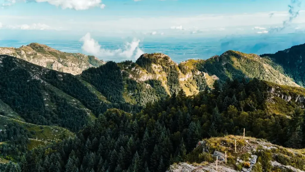 Njira zothandiza za ogula ku Malawi kuti afufuze ndi kugwira ntchito ndi ShareChat creators kuchokera Mexico pa ma unboxing ake omwe angavire viral.