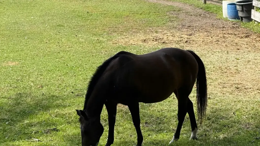 Nkhani yothandiza atsatsa ya Malawi pa momwe mungapezere Panama Threads creators kuti muwatsatse mizere ya skincare — njira zolemera, ma tools, ndi malingaliro a msika.