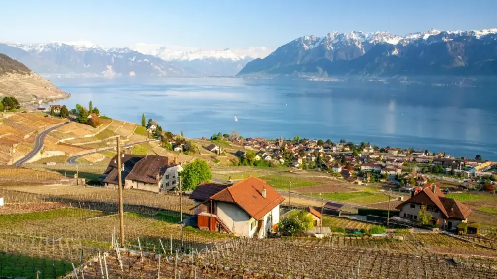 Njira zowoneka bwino za kufikira mabizinesi a Iran pa Twitch kuti agwirizane mu kampeni za wellness — malangizo a MaTitie kwa ogwira ntchito za influencer ku Malawi.