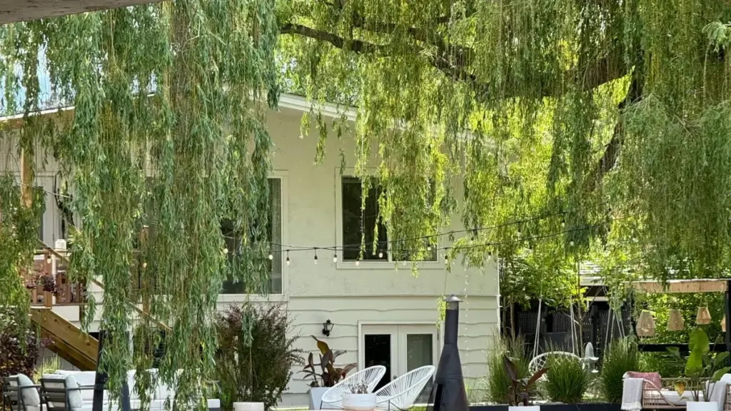 Malangizo ochokera ku Malawi: sitepe ndi sitepe momwe olemba angafikire makampani a Norway pa Bilibili ndikuwonetsera maubwino a zinthu mwachangu komanso molondola.