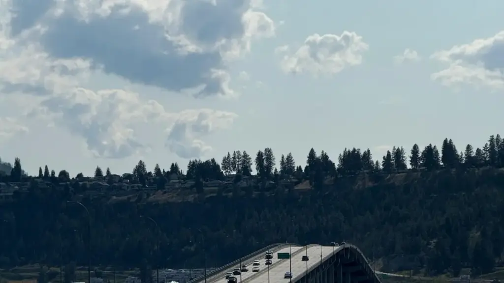 Phunziro wachidule wa njira zenizeni za kufikira brand za Poland pa YouTube, njira zolumikizirana, ndi momwe mungapangire kampeni zomwe zimawoneka komanso zokopa.