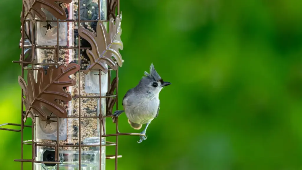 Njira zosavuta ndi zanzeru za kupeza ndi kugwira ntchito ndi Xiaohongshu creators ku France kuti malonda anu a Malawi ayambe kuonekera bwino — njira, ma KPI, ndi mfundo zochokera ku Xiaohongshu ndi malipoti ofunikira.