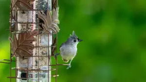 Njira zosavuta ndi zanzeru za kupeza ndi kugwira ntchito ndi Xiaohongshu creators ku France kuti malonda anu a Malawi ayambe kuonekera bwino — njira, ma KPI, ndi mfundo zochokera ku Xiaohongshu ndi malipoti ofunikira.