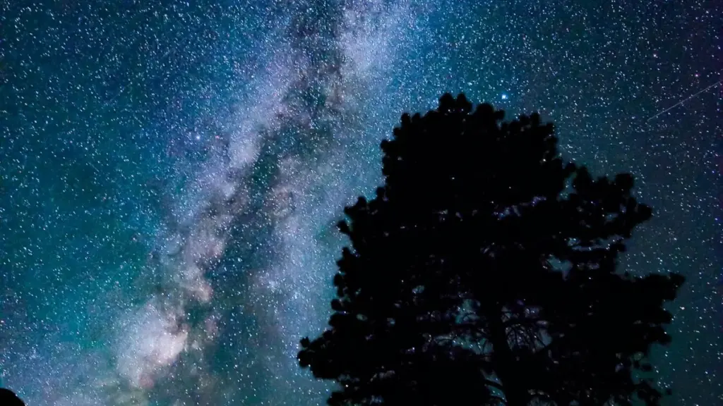 Malangizo achikoka kwa ogwiritsa ku Malawi pa momwe mungafikire ma brand a Türkiye pa KakaoTalk kuti muwonetse must-have items, ndikugwiritsa ntchito ma tactics a influencer, mitengo ya msika, ndi magwirizano apadziko lonse.