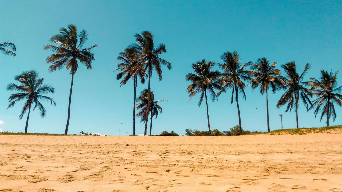 Malawi brands: Kupeza TikTok creators ku Luxembourg