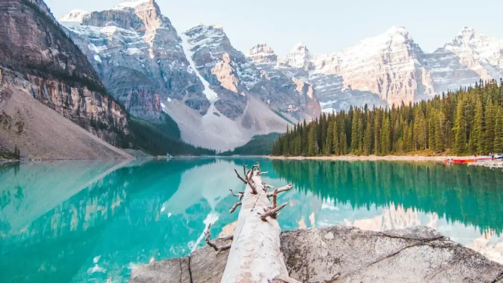 Njira zanzeru za ophunzira ndi ogwiritsa ntchito ku Malawi za kufikira ma brand a Mongolia pa Discord kuti mulepheretse giveaways za game keys, malangizo, mapulani ndi njira zogwirira ntchito.