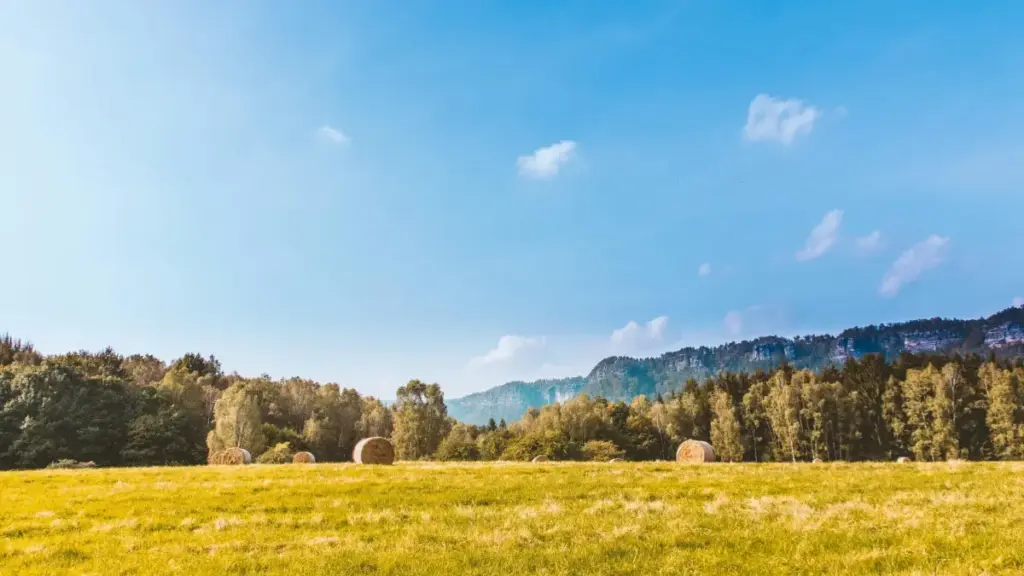 Njira zogwira mtima za kupeza ndi kulumikiza Finland eBay creators kuti mukule network yanu ya influencer, zothandiza kwa ogulitsa ku Malawi.