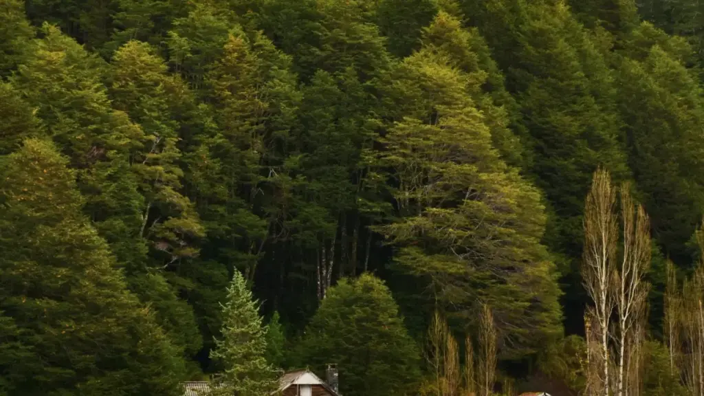 Njira zachilengedwe za kupeza ma Telegram creators ku South Africa kuti akulitse ma local tours. Malangizo ochita, malo oyendera, ndi momwe mungagwiritsire ntchito influencers mwachangu.