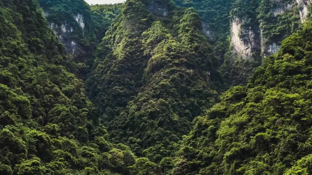 Maphunziro ofotokozera ndondomeko zothandiza ma creators ku Malawi kufikira makampani aku Japan pa Instagram, kuwonetsa bwino maubwino a mankhwala ndi njira zogwirizana ndi msika wa Japan.