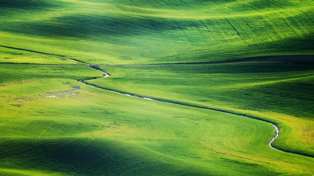 Njira zothandiza kwa ma creator ku Malawi kulumikizana ndi mabizinesi a Tanzania pa vkontakte kuti alowe mu ma beta launches; njira za DM, gulu, ndondomeko ya mapping ndi chidziwitso cha policy.