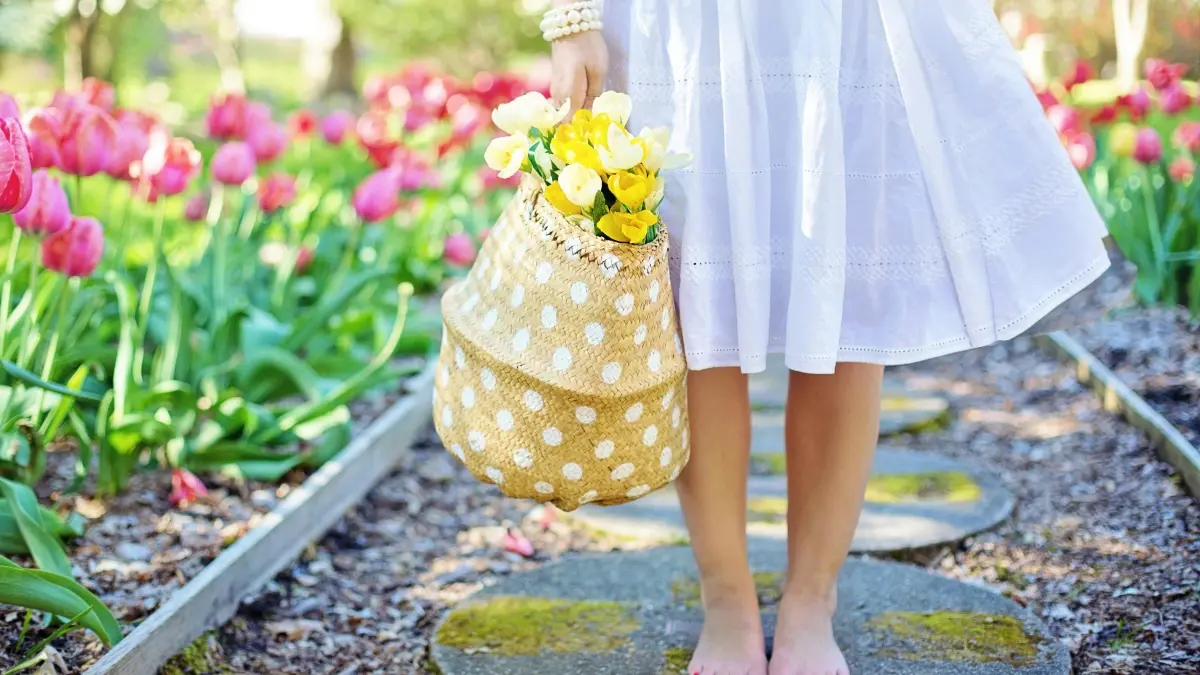 Makampani: Kupeza Japan Chingari creators pa seasonal fashion