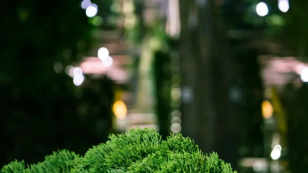 Njira zothandiza zolumikizirana ndi malonda a Latvia pa OnlyFans, ma tips a njira, malamulo a chiyembekezo, ndi njira za MaTitie.