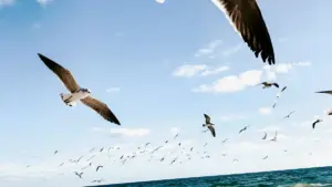 Njira zoyenera kwa ma creator Malawi kufikira ma brand a Cambodia pa HBO Max kuti agawane malangizo a thanzi ndi otsatira.