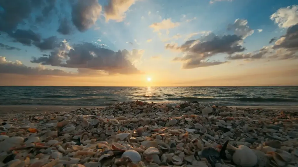 Njira yokhoma ya momwe a malonda ku Malawi angapeze ndi kugwira ntchito ndi ojambula onse a Latvia pa Bilibili kuti apange co-branded product drops — malangizo olowera, njira zodalirika, ndi momwe mungayang'anire ROI.