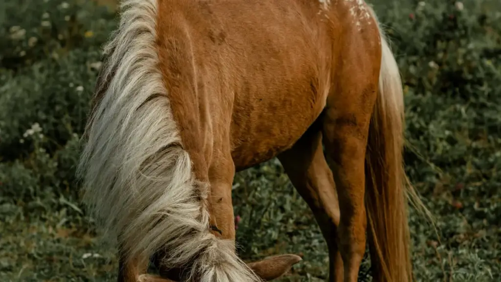 Njira zachangu komanso zanzeru za creator wa Malawi kupeza ma-brand a Colombia pa Line, kukonza ma deals a nthawi yayitali, ndi njira zoyeserera komanso zotsimikizika.