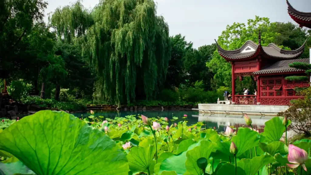 Mmene ma brand ku Malawi angapezere Israeli YouTube creators, kusankha oyenerera, ndi kuyamba collab ya product line popanda kuyenda mwachisokonezo.