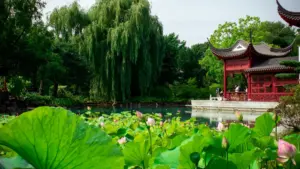 Mmene ma brand ku Malawi angapezere Israeli YouTube creators, kusankha oyenerera, ndi kuyamba collab ya product line popanda kuyenda mwachisokonezo.